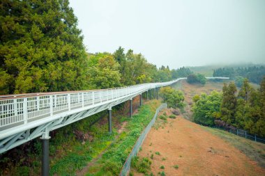 Nantou County's Renai Township, Tayvan Cingjing Çiftliği'nde 1.2km uzunluğunda skywalk parçası.