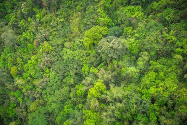 Sun moon gölünde doğal yeşil dağlar ve mavi gökyüzü Manzara
