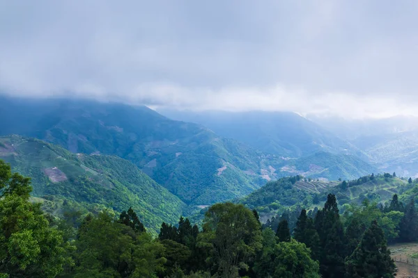 Vue Panoramique Ferme Qingjing Nantou Taiwan — Photo