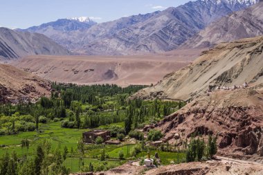 Hindistan 'ın Lamayuru Manastırı' ndaki köyün yanında çorak arazi ve yeşil tarlalar..