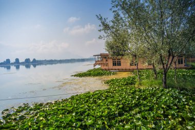 Srinagar, Kashmir, Hindistan 'daki Dal Gölü' ndeki tekne evleri..