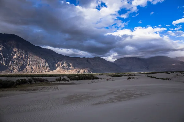 沙丘座落在海拔4000米的地方 沙漠被一条温和的小河划过 风景迷人极了 — 图库照片