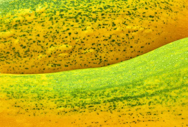 Sarı ve yeşil doku kökenli iliği kabuğu, yakın çekim