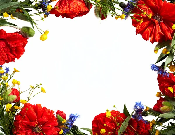 Circular frame from wild flowers: poppies, cornflowers, buttercups isolated on white background. Flat lay, top view