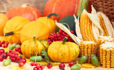 Sonbaharda hasat: pumpkins, Mısır, çilek, meşe palamutları, ahşap rustik zemin üzerine düşen yapraklar. Şükran tatil kavramı