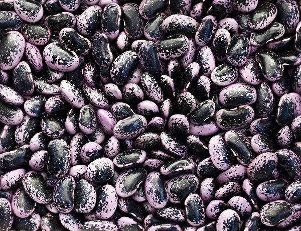 Purple with black pattern kidney beans bright and stylish background texture
