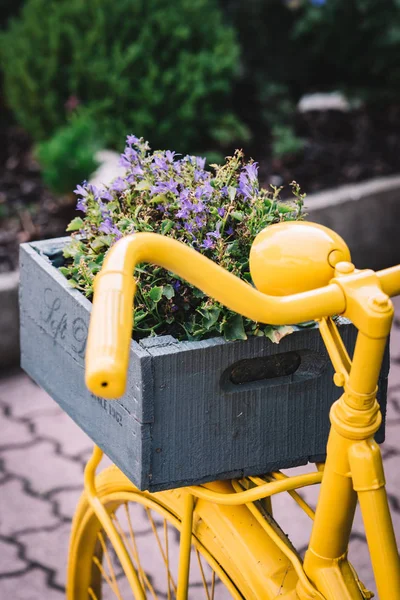 Vintage Vélo Avec Vieille Boîte Fleurs — Photo