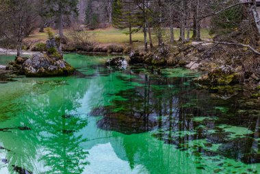 Güzel doğa harikası, alplerde yeşil nehir