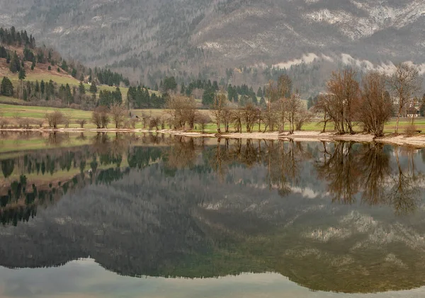 Bohinj, alplerde güzel sisli göl