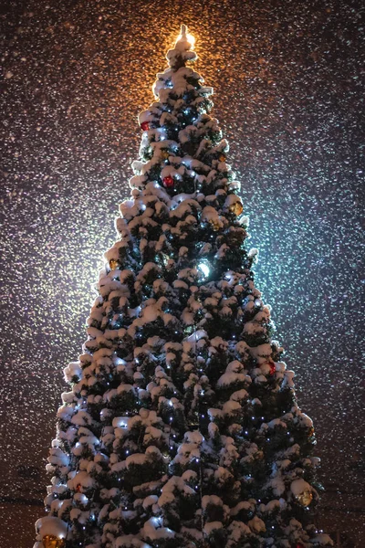 Kar yağışında Noel ağacı