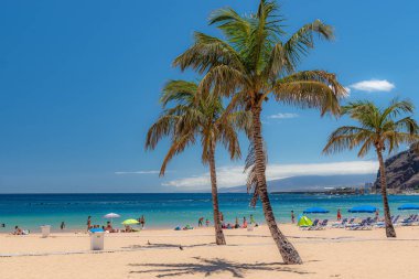 Tenerife, sahilde palmiye ağaçları