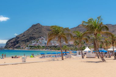 Tenerife, sahilde palmiye ağaçları