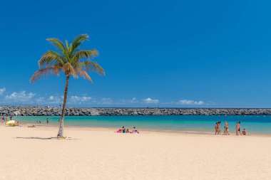 Tenerife, sahilde palmiye ağaçları
