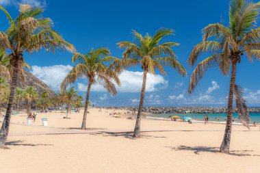 Tenerife, sahilde palmiye ağaçları