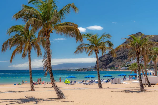 Tenerife, sahilde palmiye ağaçları