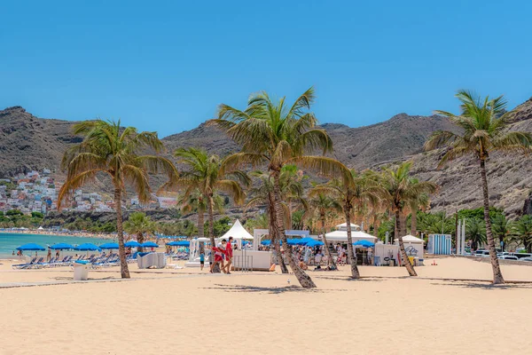 Tenerife, sahilde palmiye ağaçları
