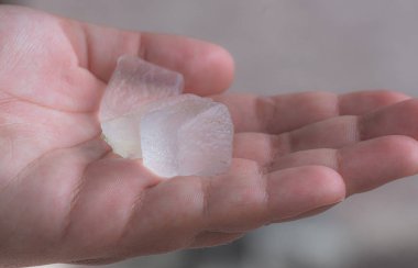 Avuç içinde saflaştırılmış aloe vera