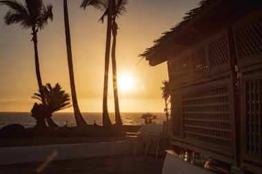 Cennette gün batımı, palmiye ağaçlarıyla güzel okyanus manzarası, altın saat