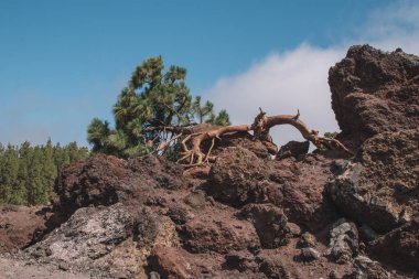 Tenerife Teide Milli Parkı, Teide yanardağı