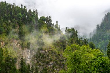 Sis ve bulutlar ormanlık dağlar arasında