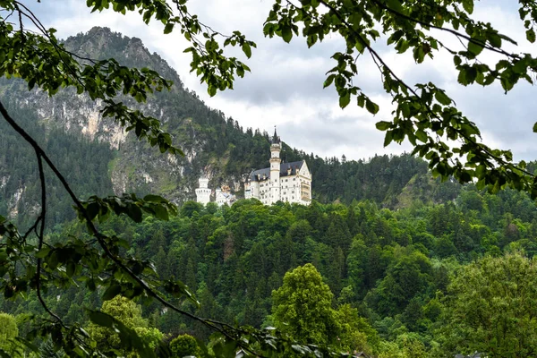 Royal castle in the mountains on the background of storm clouds framed by tree branches