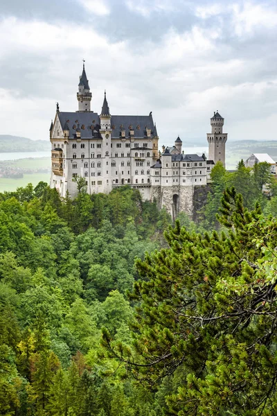 Ovalar ve thunderclouds ve ağaç dalları ön planda ortasında ağaçlık bir tepe üzerinde Royal castle