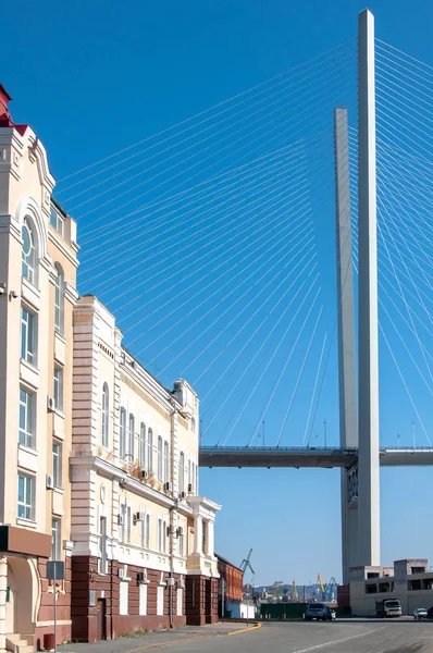 Vladivostok'ta altın köprü. Kablolu köprü ön planda evleri ile mavi gökyüzüne karşı destekler
