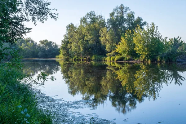 Ağaçların ve sazlıkların taze yeşil yaprakları sessiz nehrin mavi sakin suyuna yansır. Orta iklim bölgesinde sıcak yaz öğle.