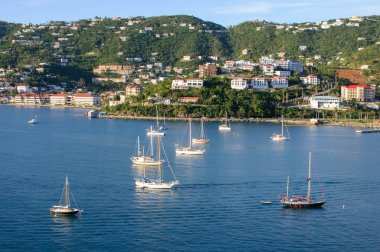 Erken gün batımı limanda beyaz yatlar ve ormanlık kıyı nın yamacında harika sahil evleri aydınlatır
