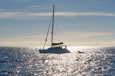 Gün batımında tropikal sularda yelkenli yat katamaran.