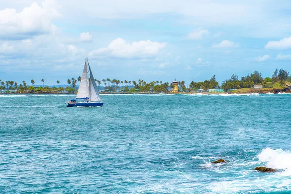 Yat, plaj ve palmiye ağaçlarıyla tropik bir adanın arka planında masmavi suüzerinde yüzer..