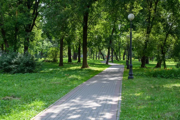 Stinná Ulička Městě Park Jasného Letního Slunného Dne — Stock fotografie