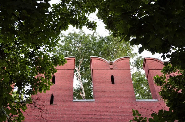 Kremlin duvarının dişleri yemyeşil bir ağaç tacı ile çerçevelenmiş.