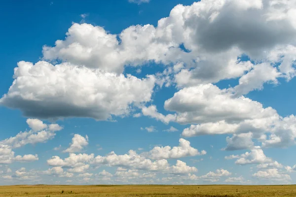 Vit Cumulus Moln Klarblå Himmel Ovanför Horisonten Stäppen Gult Gräs — Stockfoto