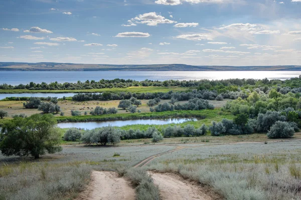 Ormanlık kıyılarda güneş parlaması ve mavi gökyüzünde bulutlar ile geniş, tam akan nehir görünümü. Volga nehri.