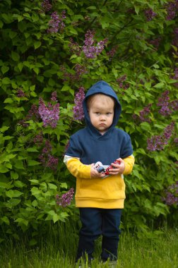 Doğada oyuncak arabaları olan küçük bir çocuk