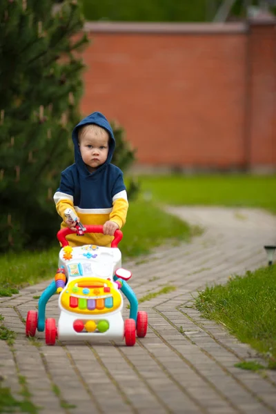Kleiner Junge Mit Spielzeugautos Der Natur — Stockfoto
