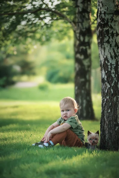 Liten Pojke Med Yorkshire Terrier Naturen — Stockfoto