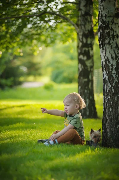 Маленький Мальчик Йоркширским Терьером Природе — стоковое фото