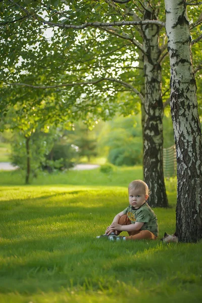 Маленький Хлопчик Йоркширським Тер Єром — стокове фото