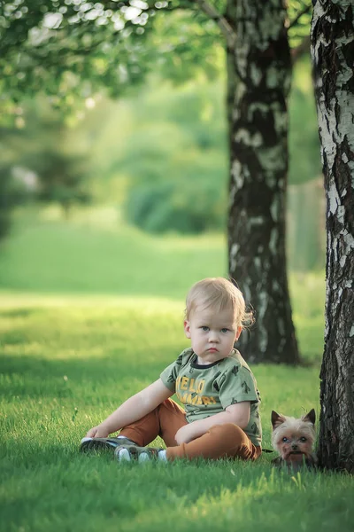 Маленький Мальчик Йоркширским Терьером Природе — стоковое фото