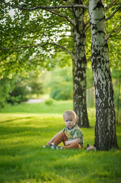 Niño Pequeño Con Yorkshire Terrier Naturaleza — Foto de Stock