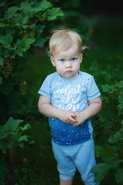 Portret Małego Chłopca Naturze — Zdjęcie stockowe