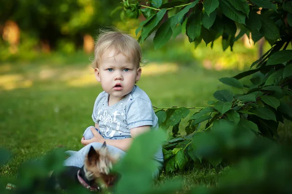 Porträt Eines Kleinen Jungen Der Natur lizenzfreie Stockbilder