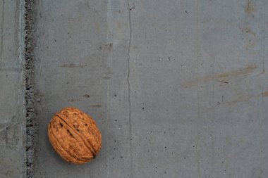 Sağlıklı gıdayı temsil eden gri beton doku üzerine ceviz kabuğu