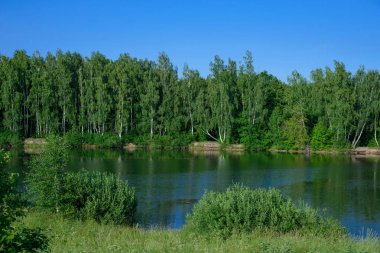 mavi su ile ormandaki göl