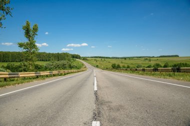 Yaz aylarında ormana asfalt yol