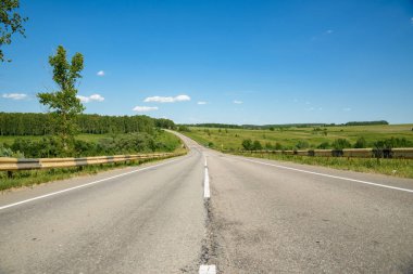 Yaz aylarında ormana asfalt yol