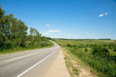 Yaz aylarında ormana asfalt yol