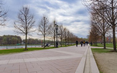 Ağaçların arasında parktaki patika.